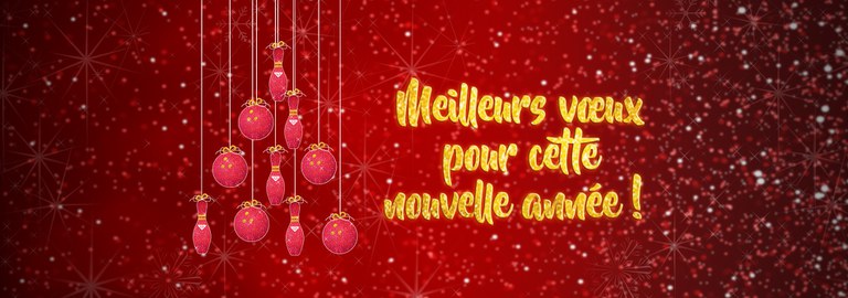 Website Banner Holiday 2023 France.jpg
